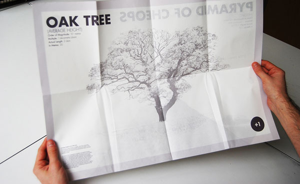 Two hands unravelling the booklet to eight times the size revealing a piece of content about a tree